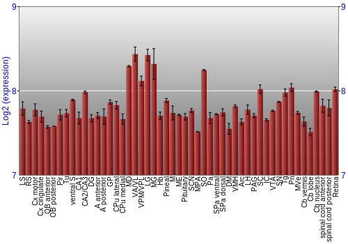 Expression graph