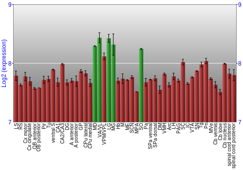Multi-state expression graph