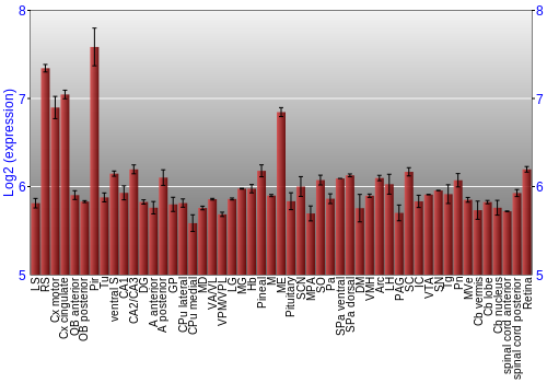 Expression graph