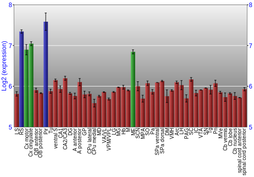 Multi-state expression graph