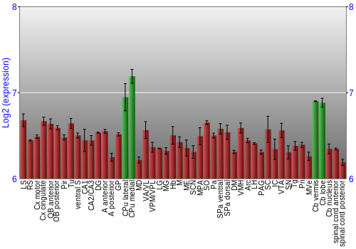 Multi-state expression graph
