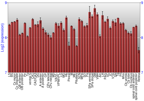 Expression graph