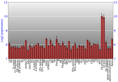 Expression graph
