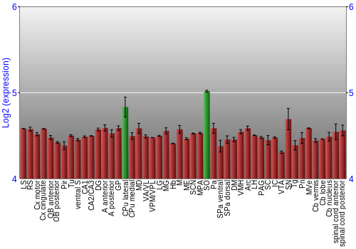 Multi-state expression graph