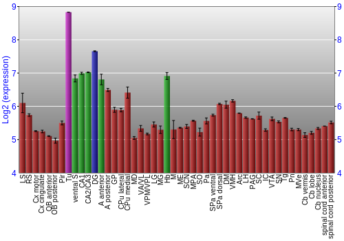 Multi-state expression graph