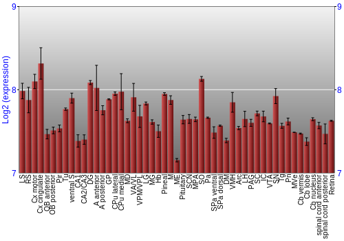 Expression graph