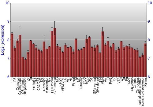 Expression graph
