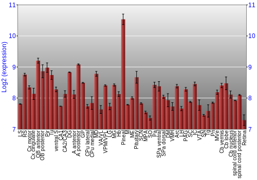 Expression graph