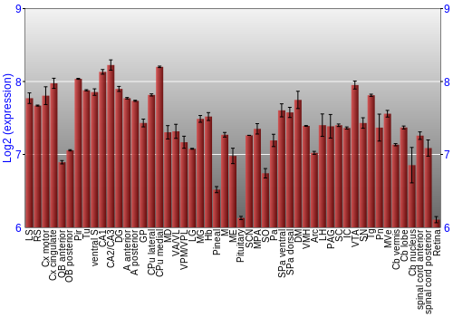 Expression graph