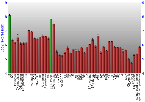 Multi-state expression graph