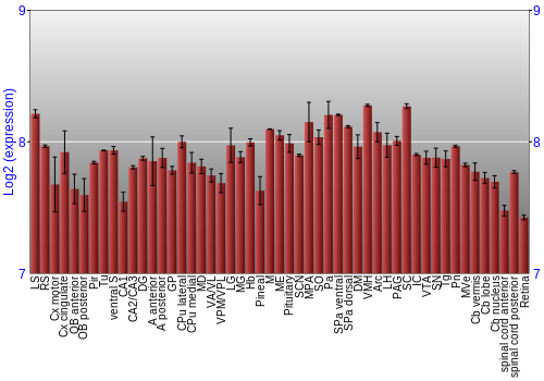 Expression graph