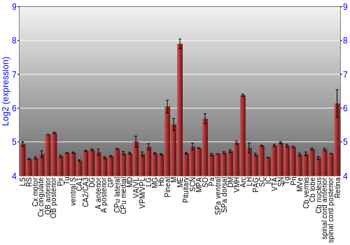Expression graph