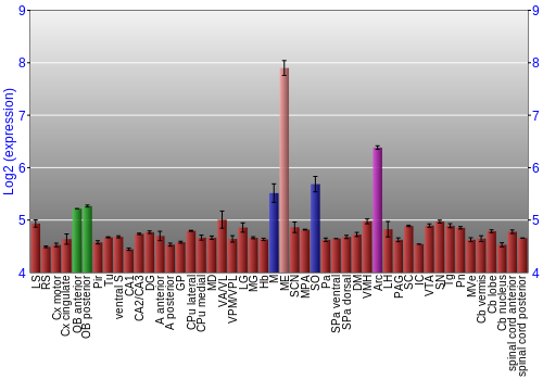 Multi-state expression graph