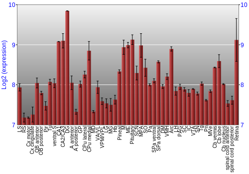 Expression graph