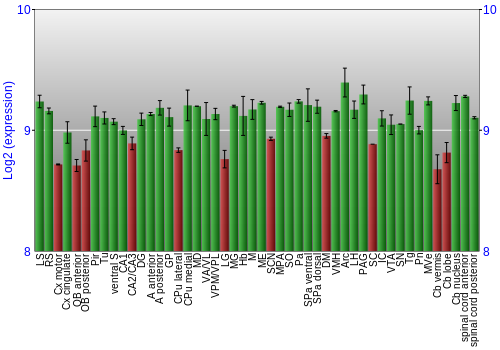 Multi-state expression graph