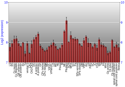Expression graph