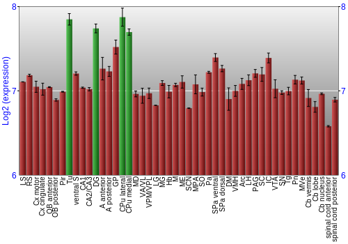 Multi-state expression graph