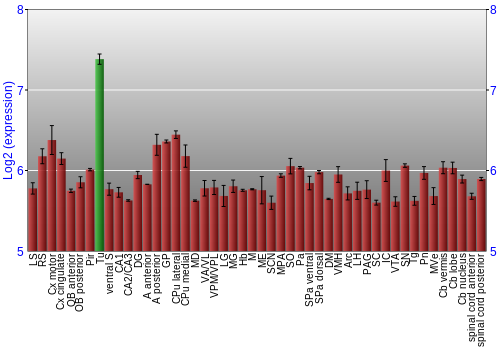 Multi-state expression graph