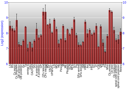 Expression graph