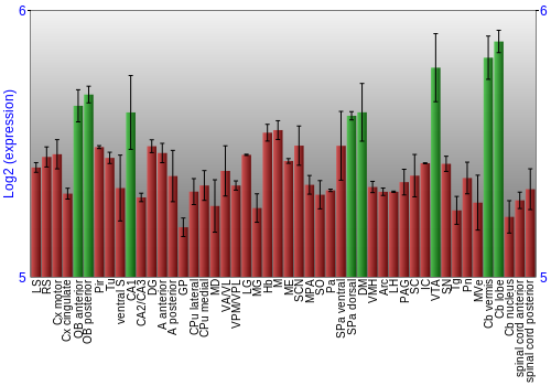 Multi-state expression graph