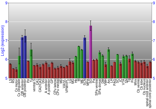 Multi-state expression graph