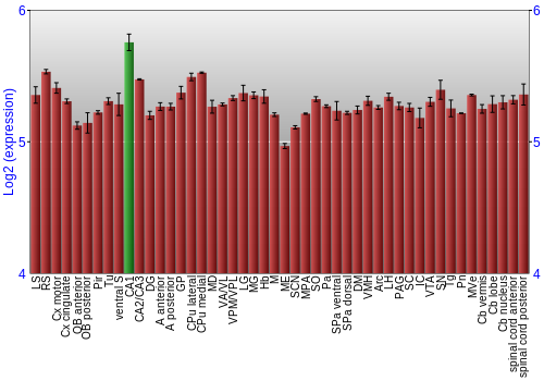 Multi-state expression graph