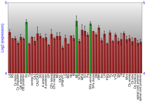 Multi-state expression graph