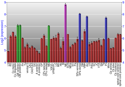 Multi-state expression graph