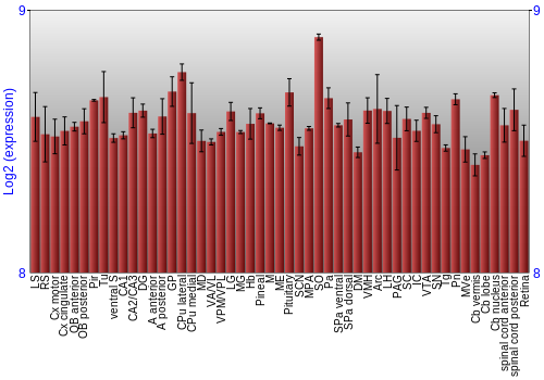 Expression graph