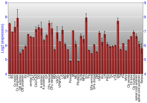 Expression graph