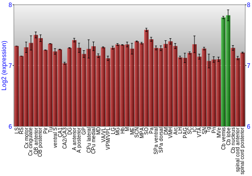 Multi-state expression graph