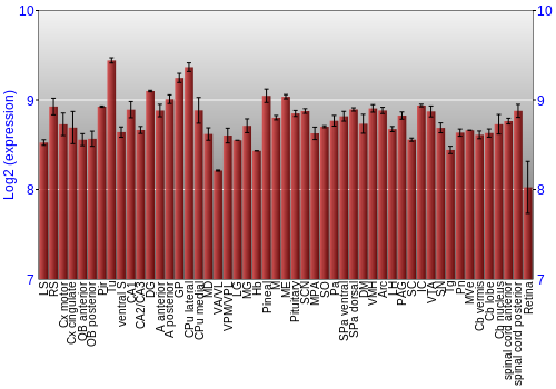 Expression graph