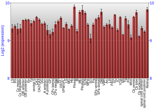 Expression graph