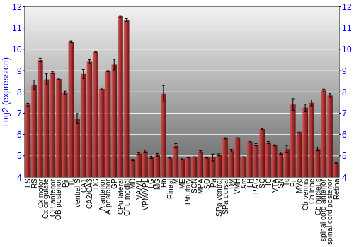 Expression graph