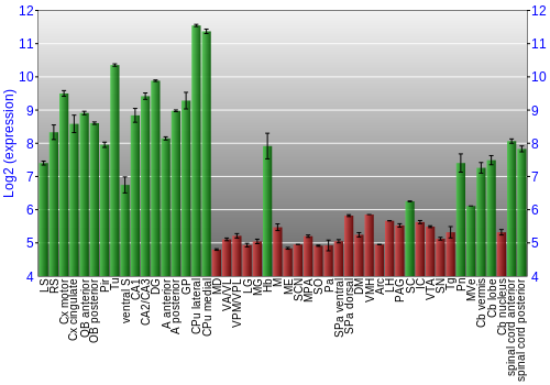 Multi-state expression graph
