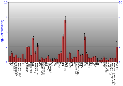 Expression graph