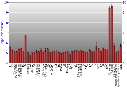 Expression graph