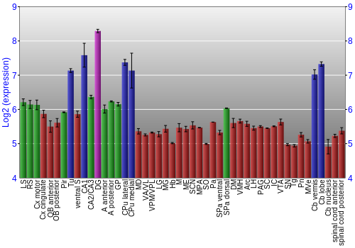 Multi-state expression graph