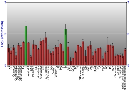 Multi-state expression graph