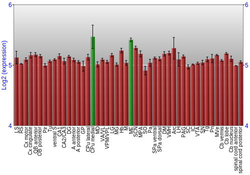 Multi-state expression graph