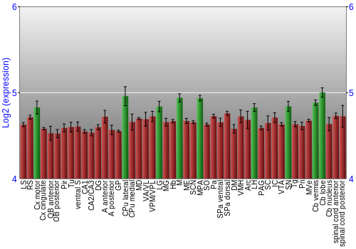 Multi-state expression graph