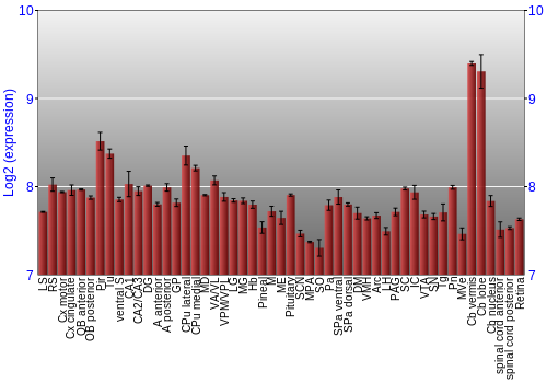 Expression graph