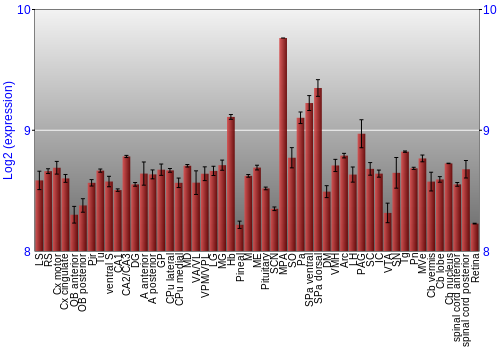 Expression graph