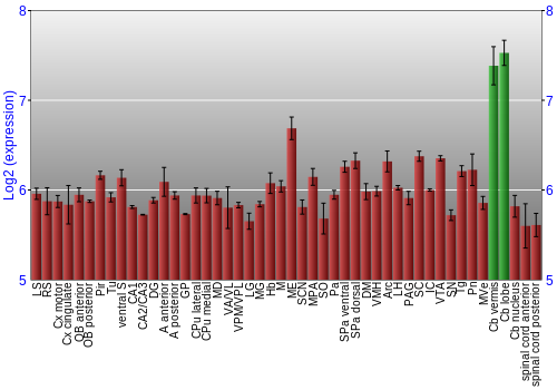 Multi-state expression graph