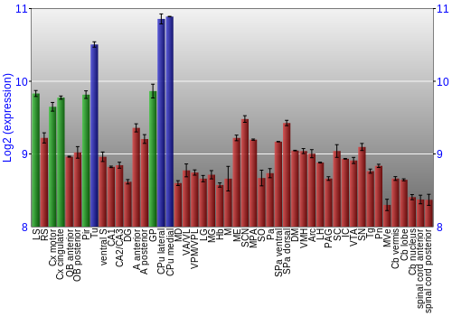 Multi-state expression graph