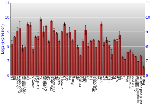 Expression graph