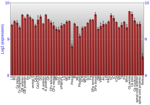 Expression graph