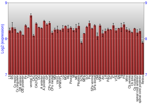 Expression graph