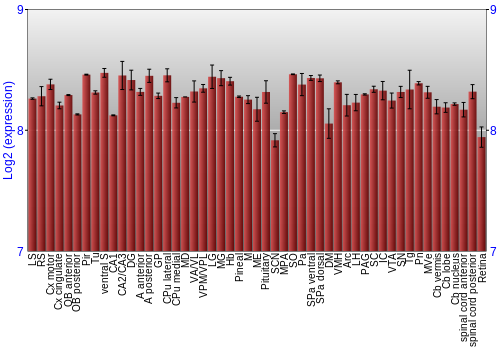 Expression graph