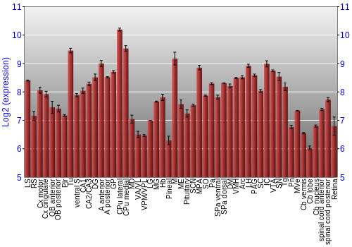 Expression graph